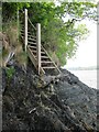 SW7526 : A small step down to the South shore of the Helford River by Dr Duncan Pepper