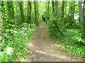 The Saxon Shore Way near Aldington Road