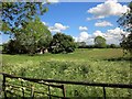 Farmland by Lodge Road