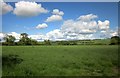 Field by Rookery Lane