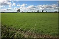 ST6978 : Field, Leigh Farm by Derek Harper