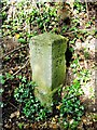 Milestone, Bridge Hill, Bridge