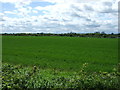 Farmland towards the A1(M)