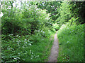 Public bridleway to Norton Hill