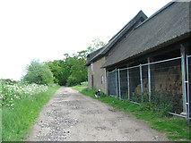 TG3614 : Bridleway past former cart sheds by Leist's Farm by Evelyn Simak