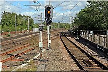 SD5805 : Signal WN25, Wigan North Western railway station by El Pollock