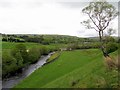 Pastures along River South Tyne valley