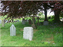 SS6243 : St Thomas, Kentisbury: churchyard (d) by Basher Eyre