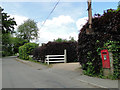 GR postbox in Forest Road, Onehouse