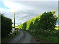 Hode Lane, near Bridge