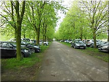 SD6113 : The driveway at the Anderton Centre by Ian S