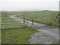 Cattle grid at Kilkenneth