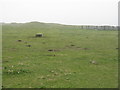 Field with en suite bath at Kilkenneth