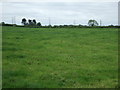 Farmland near Hill Farm