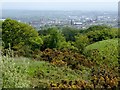 Bolton from Horrocks Wood