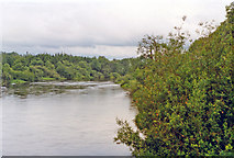 M9898 : River Shannon at Jamestown, border Cos. Roscommon and Leitrim, 1993 by Ben Brooksbank