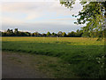 Anglia Ruskin playing field off Whitehouse Lane