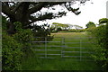 Field off the lane to Cwm-yr-Eglwys