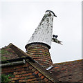 Cowl of Oast Cottage