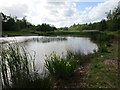 Pond at Highfields Country Park