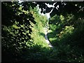 The former trackbed of the Nottingham to Melton railway is now designated as a footpath