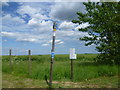 Footpath to Goodnestone