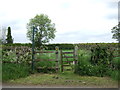 Footpath to Carlton