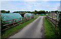 Path into Romsey Town Council Allotments