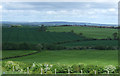 NZ3346 : Fields, Moorsley Banks by JThomas