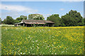 Shed in a field