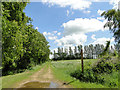 Sheepgate Lane, a bridleway