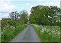 Road to Meldon