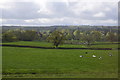 Farmland by the M25