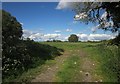 ST7078 : Field near Westerleigh Hill by Derek Harper