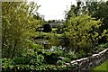 Ornamental pond at Tregonce