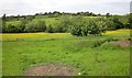 Strode Brook valley