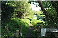 River Ayr Way at Tarholm Bridge