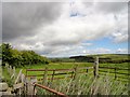 NZ0757 : View north from Wittonstall by Robert Graham