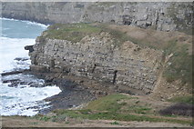 SY9876 : Cliff below Seacombe Quarry by N Chadwick