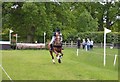 SJ6938 : Brand Hall Horse Trials: cross-country finish by Jonathan Hutchins
