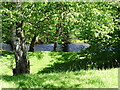 Randal Carr Brook at Tunstead Milton