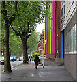 Radford Boulevard: bright colours on a wet morning