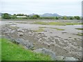 The northern end of Llyn Bach, at low tide