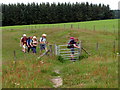 Ger Bryn Hengwm . Near Hengwm Hill