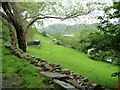 Sheep pasture above Penamser Road, Porthmadog