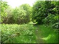 Public footpath to Borth y Gest