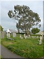 St Peter, Bratton Fleming: churchyard (e)