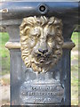 Scary lion on the drinking fountain in St. Mary