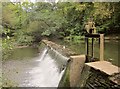 Weir on the Frome