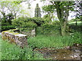 Pinfold next to Mill Beck